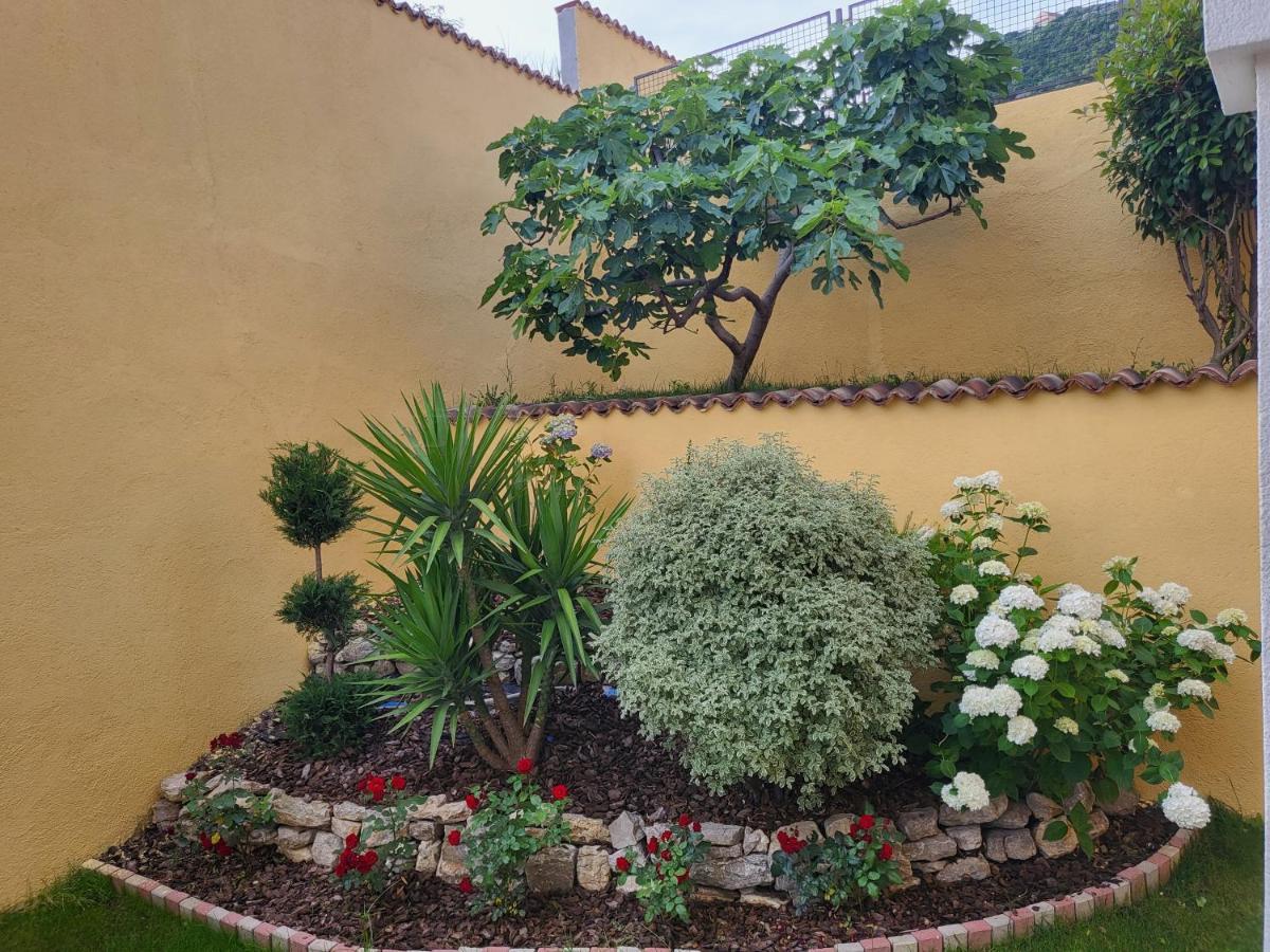 Apartmani Niksic Herceg Novi Exterior foto